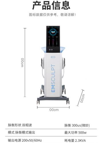 英国btl emsculpt